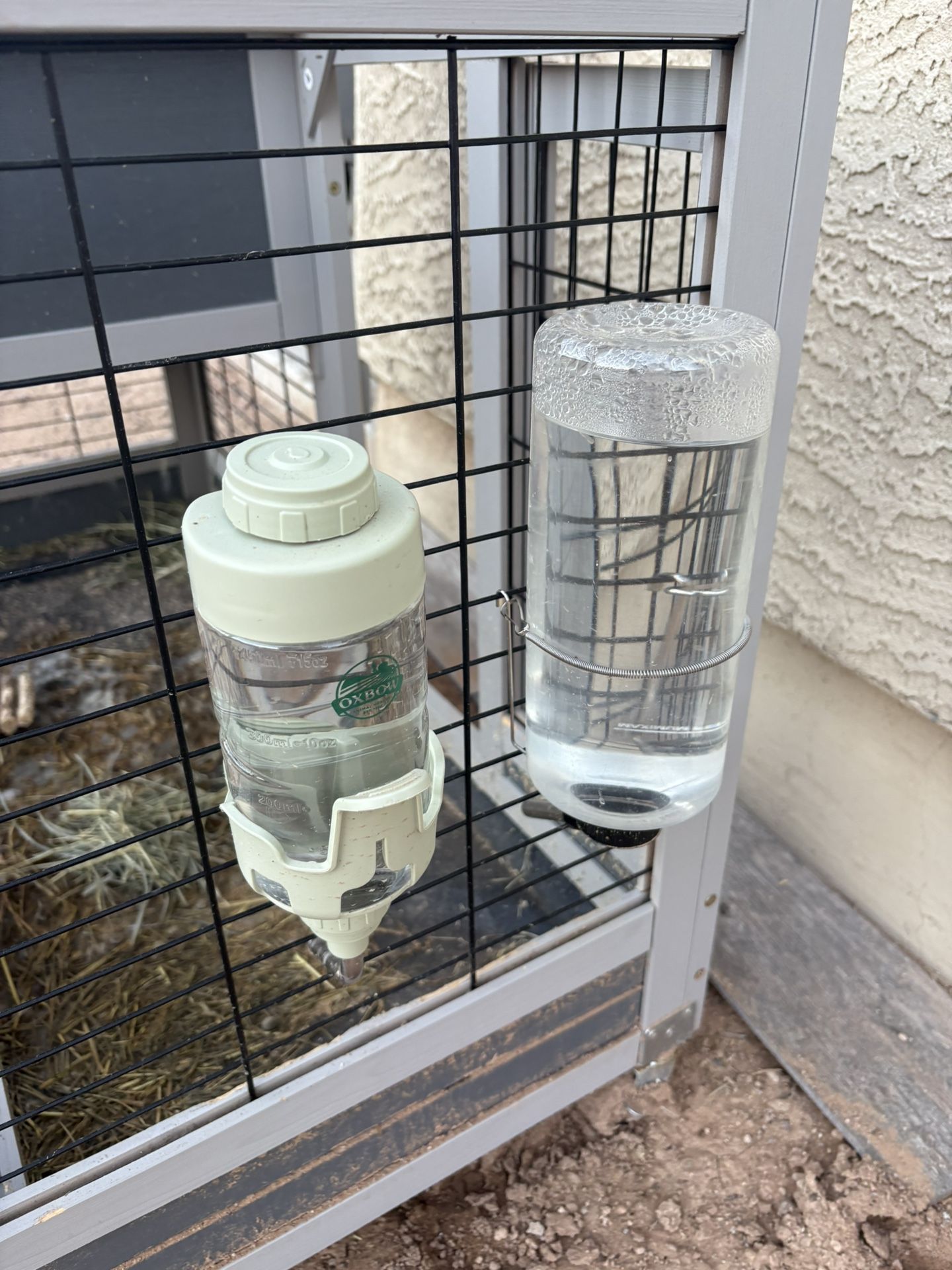 Water Bottles for Rabbits/Guinea Pigs & Feeding Big