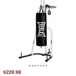 Everlast Heavy Bag And Speed Bag