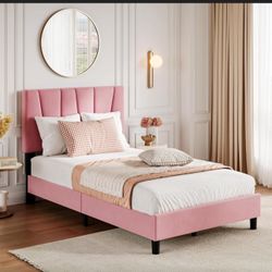 Twin Bed Frame 