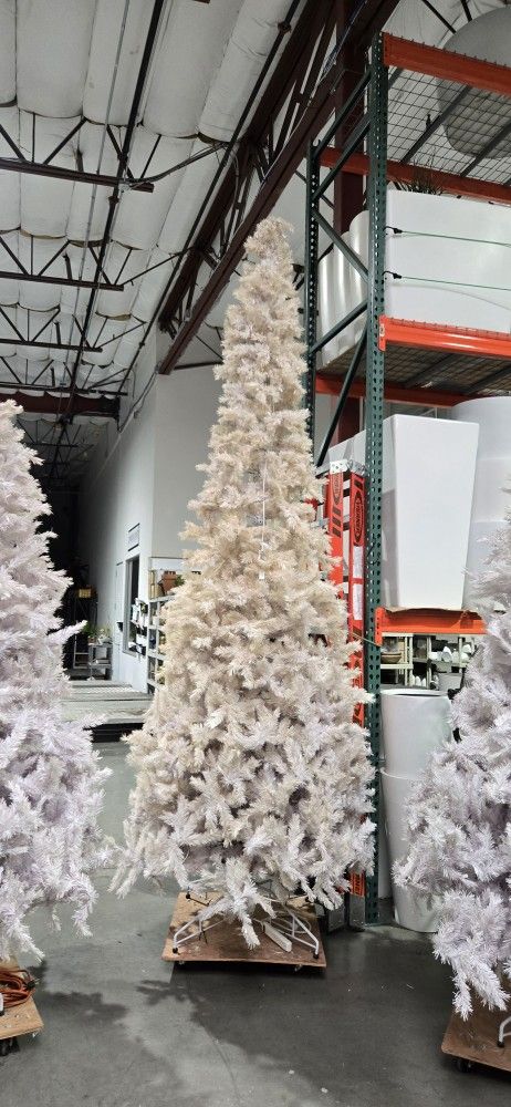 Flocked Christmas 🎄 Trees