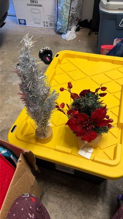 Small Christmas trees