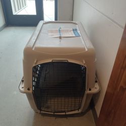 Dog House 