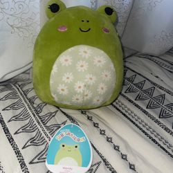Wendy Frog Floral Belly Squishmallows