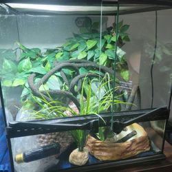 Tank