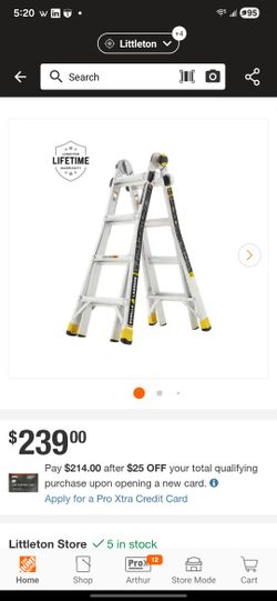 17' Ladder 
