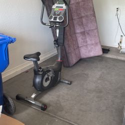 Schwinn 130 Upright Bike 