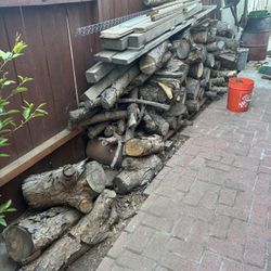 Fire Pine 🌲 Tree Wood 