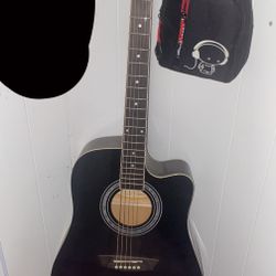 Washburn Guitar