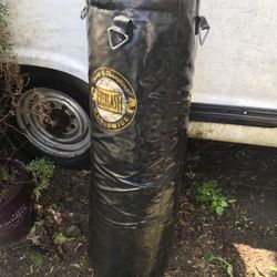 EVERLAST.  BAG.  80-100 Lbs.     No Hooks.  