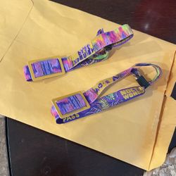 Nocturnal Wonderland 