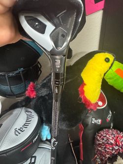 Toucan golf driver head over