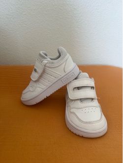 Adidas Hoops Toddler Sneakers White Velcro