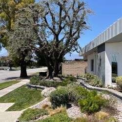 Gardening,Clean Ups And Trimming