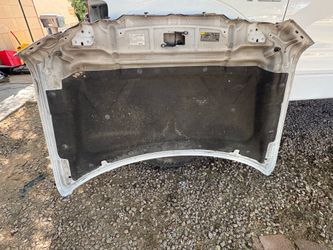 Ford hood 2009-2014