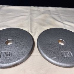 Two 10 Lb Weight Plates 