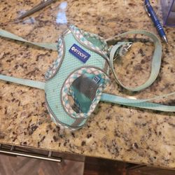 XS Dog Harness Leash