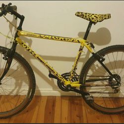 Mountain Bike 