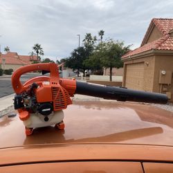 ECHO Leaf Blower 
