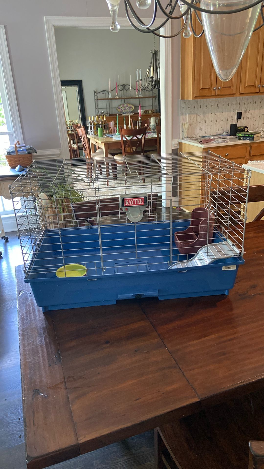 Guinea pig/hamster habitat And Accessories