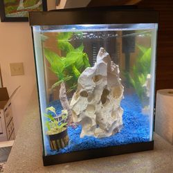 Fish Tank With Completely Set Up