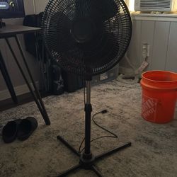 Fan