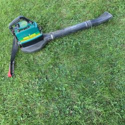 Leaf blower - needs fixing . 