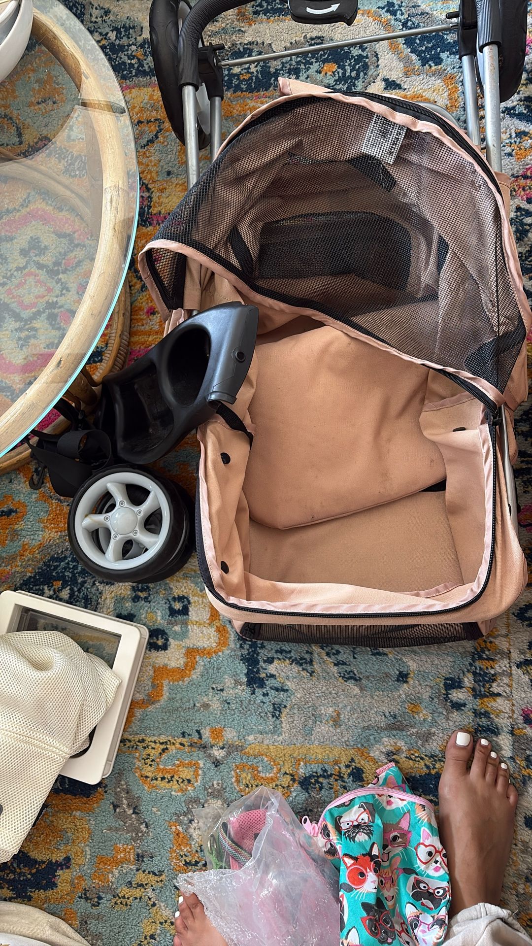 Cat Stroller And cat Door