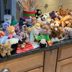 Very Rare Beanie Baby Lot! 