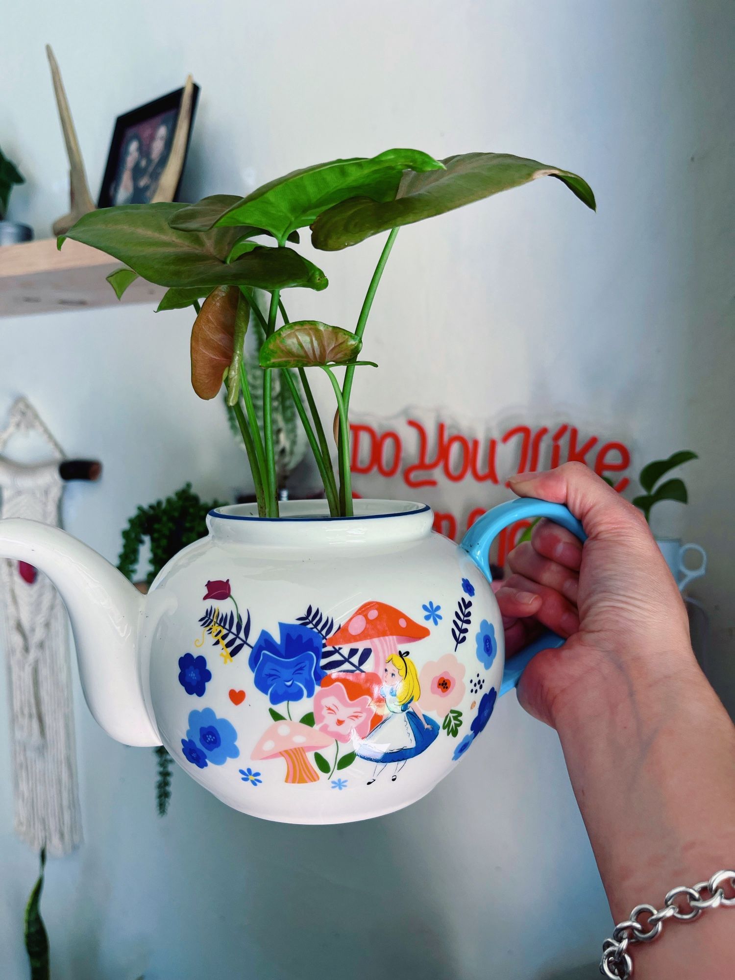 Alice In wonderland tea Pot With Caladium Planted inside