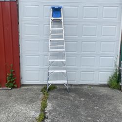 Werner 8 Ft Fiberglass ladder