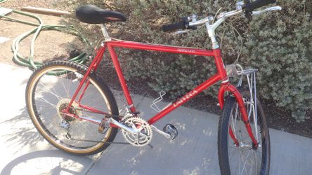 Mountain bike, Alpina Uno Univega