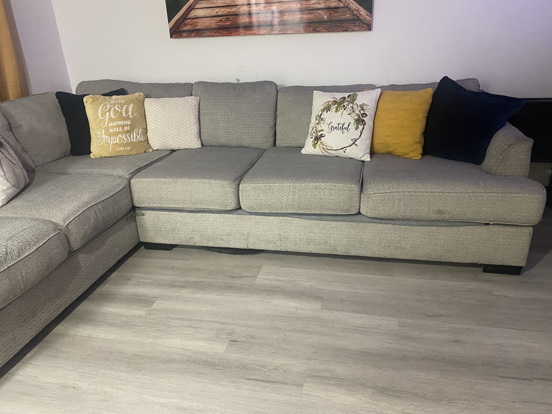 Light Gray Couches