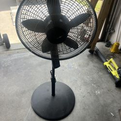 Fan