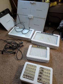 Full grow setup