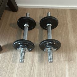 2.5 Lb Dumbbell 