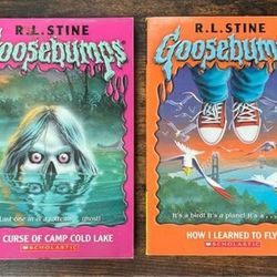 RL Stine Goosebumps Book $7 for Both 