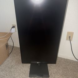 Spectrum One Monitor 