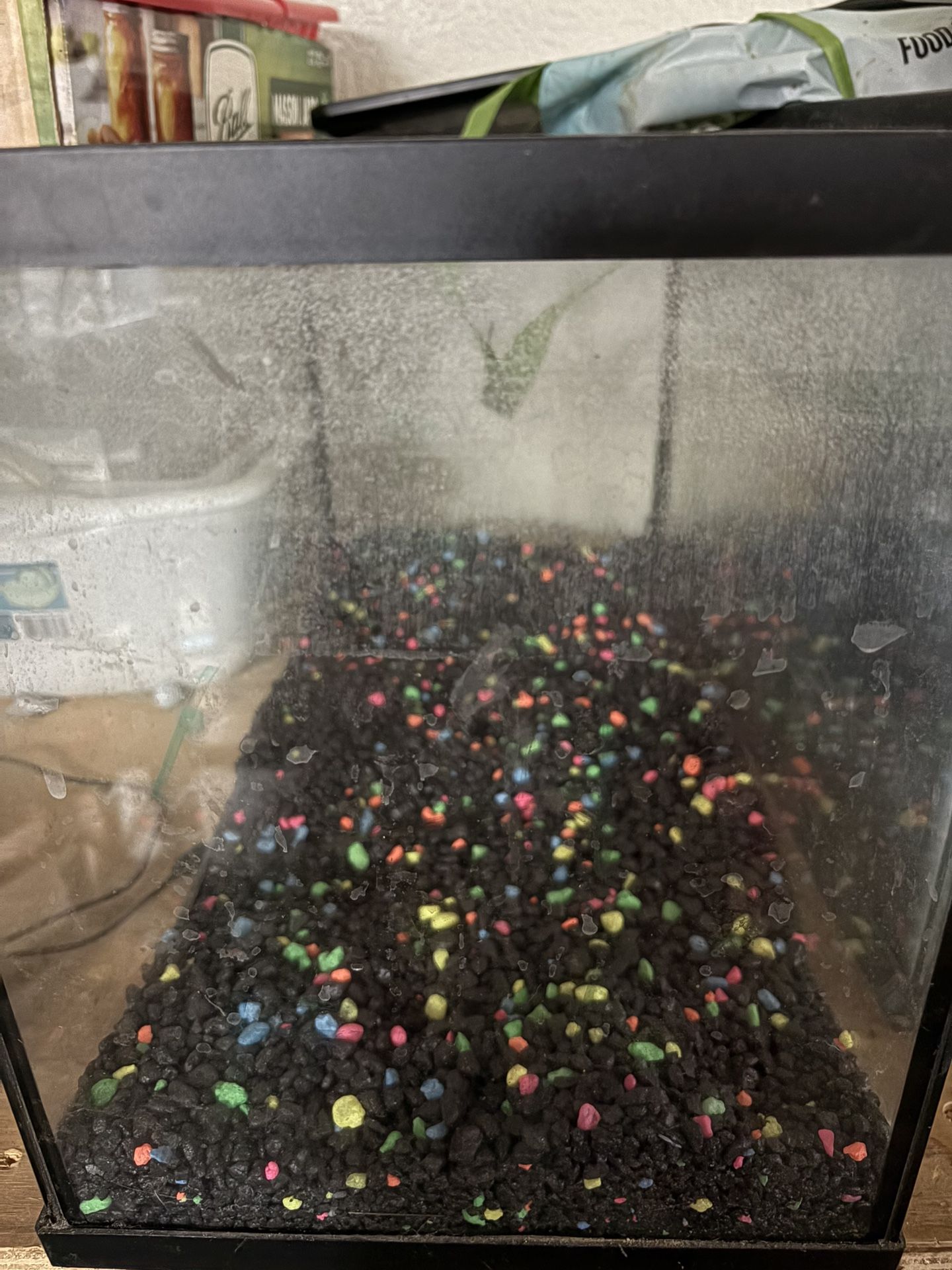 10 Gal Aquariums