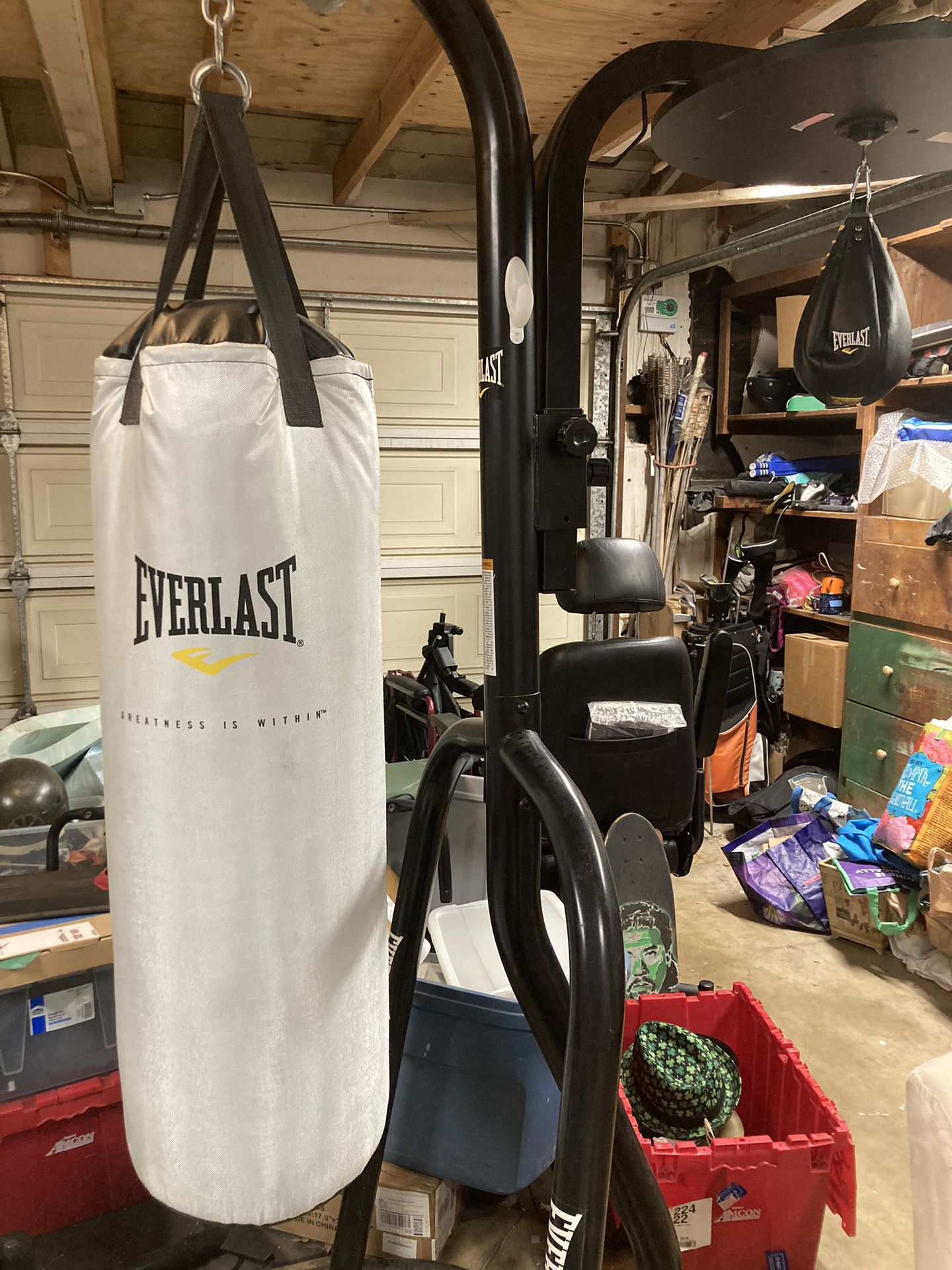 Everlast Boxing Bag Kit With Frame-Heavy bag And Speed Bag