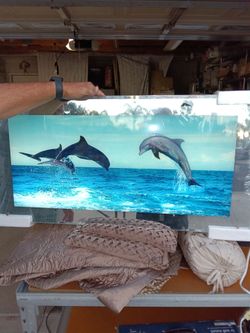 Dolphin Ocean Wall Art Print on Glass