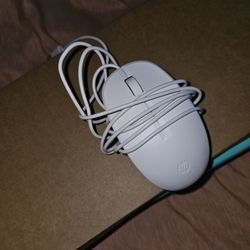Keyboard & Mouse