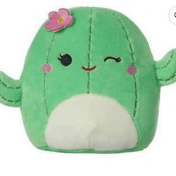 Cactus Squishmallow 