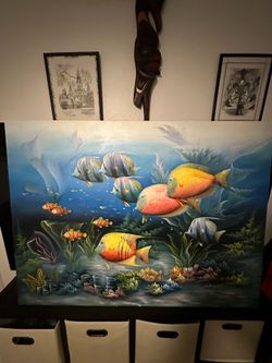 CAN’T MISS TROPICAL FISH!