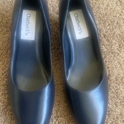 Navy Blue Pumps Woman’s