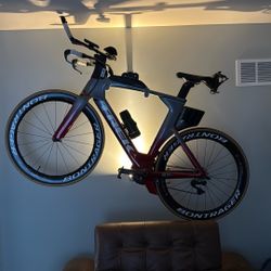 2019 Trek Speed Concept