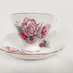 Vintage Queen Anne Carnation Fine Bone China Teacup And Saucer Duo