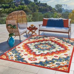 9 X 13 Indoor  Outdoor Area Rug