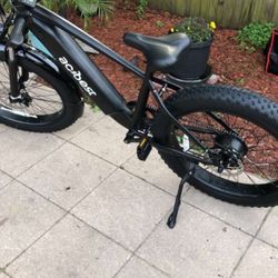 30mph E Bike 800$