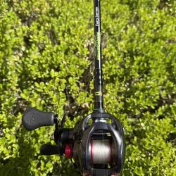 Daiwa Tatula, Dobyns Fury 7’3 Fishing Setup 