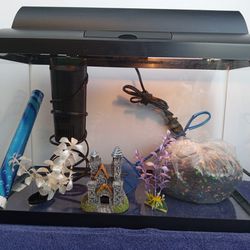10 Gallon Tank Comes With Top Light Filter Rocks Decoration The Back Paper And The Net